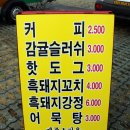 RR-1116[신화역사로]-상-1 | 제주 오름 ⛰ 추천_억새 만발한 새별오름_바람싸다구 주의 ⚠️