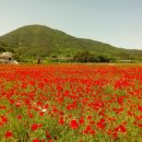 개화영농조합법인 이미지