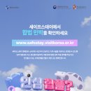 스테이고요 민박 티스토리