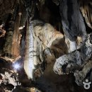 단양은 대한민국 제일의 ‘동굴 왕국’이다. 이미지