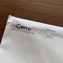젠솔 네이버블로그