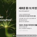 인셀덤스타일