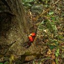 갯마을 선착장 이미지