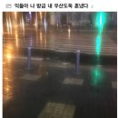 종종 있다는 우산도둑 이미지