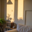 돈버는 언니 이미지