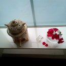 행복에너지충전소 이미지