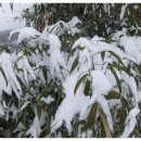 남해우리집 이미지