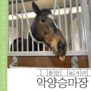 악양 승마장 이미지