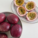 유나농장 이미지