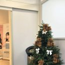 서울의원 | [서울/신논현]리쥬란힐러 손주사 후기 | 네스트의원 강남