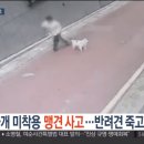 입마개 안한 로트와일러가 소형견 공격하는 장면. 이미지