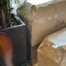 토니카음악학원 이미지