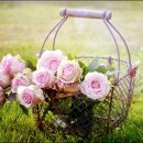 평화(두상) 이미지