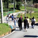 평일초등학교 이미지