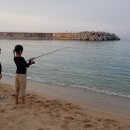 송지호해변(중앙) 이미지