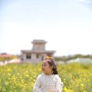 제주사계 이미지