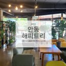 카페 해피트리 이미지