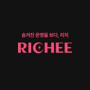 리치상사 | 리치(RICHEE) AI채팅사주 후기 (+ 꿀팁) | 대니와 재물운 직장운 본 생생 후기