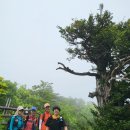 「덕유산(德裕山)종주 33km」,, 구름바다, 그리고 명화같은 德裕.. 이미지