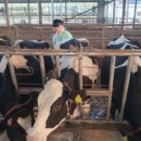 상철목장 이미지