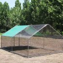 시골닭 농장 이미지