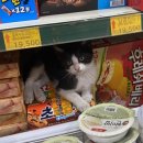 곰할인마트2 이미지