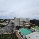 제주성산공인중개사사무소 이미지