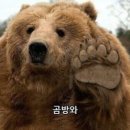 파모스짐 네이버블로그
