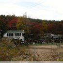 대기목장 이미지