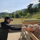 토담한우농장 | 2019년 5월 20일-21일 가볍게 떠나는 춘천 1박2일 여행