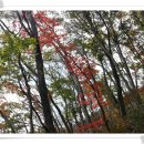 노고단-2 이미지