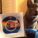 NFT EK : NFT 신작 Nyan Cat 닌캣은 어떻게 단련되었는지 이미지