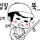 한방호