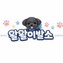 왈왈이발소 네이버블로그