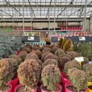 아이원어린이집 이미지