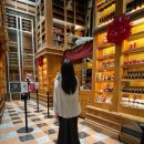 서12-404 | 홍야 햄버거 우버 어플 이용 후기 &amp; 고미 습지 차량 투어 찾는 웃픈 후일담.