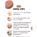 하와이바디케어