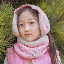 앨리 쇼핑하우