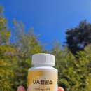 BMCO | 기름진 음식 좋아하는데 다음날 불편? UA 밸런스로 건강 관리