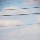 펫코노미 이미지