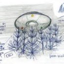 진하농장 이미지