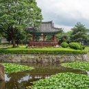 음성군 향토민속자료전시관 | 음성 7월 8월 여행지 추천 설성공원의 여름 풍경