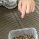 세이유치원 이미지