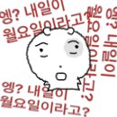 벌써 2월 끝🫥｜월간 다니｜직장인 일상