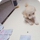 굿인소프트 이미지