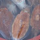 사천항포구 이미지