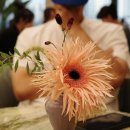 11260-2-10-8 | 올리브영N 성수, 올리브 멤버스 라운지 가보셨나요? / GOLD OLIVE 골드 올리브 2회 방문 후기(8월, 10월)