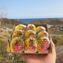 오후엔김밥