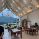 푸른하우스 | 강릉 푸른달하우스 둘째 돌잔치, 정신은 없었지만 꿀잼 후기!