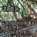 허준건강원 - 금산군 비단로 134 | 허준건강원